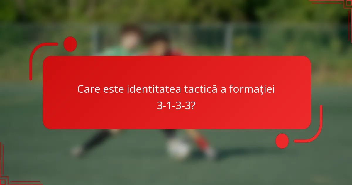 Care este identitatea tactică a formației 3-1-3-3?