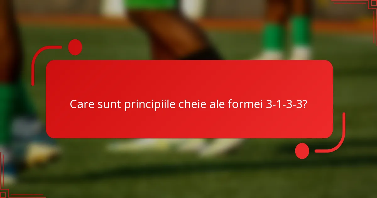 Care sunt principiile cheie ale formei 3-1-3-3?