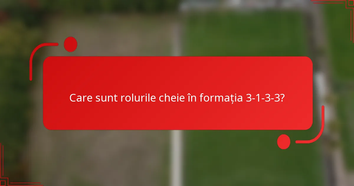 Care sunt rolurile cheie în formația 3-1-3-3?