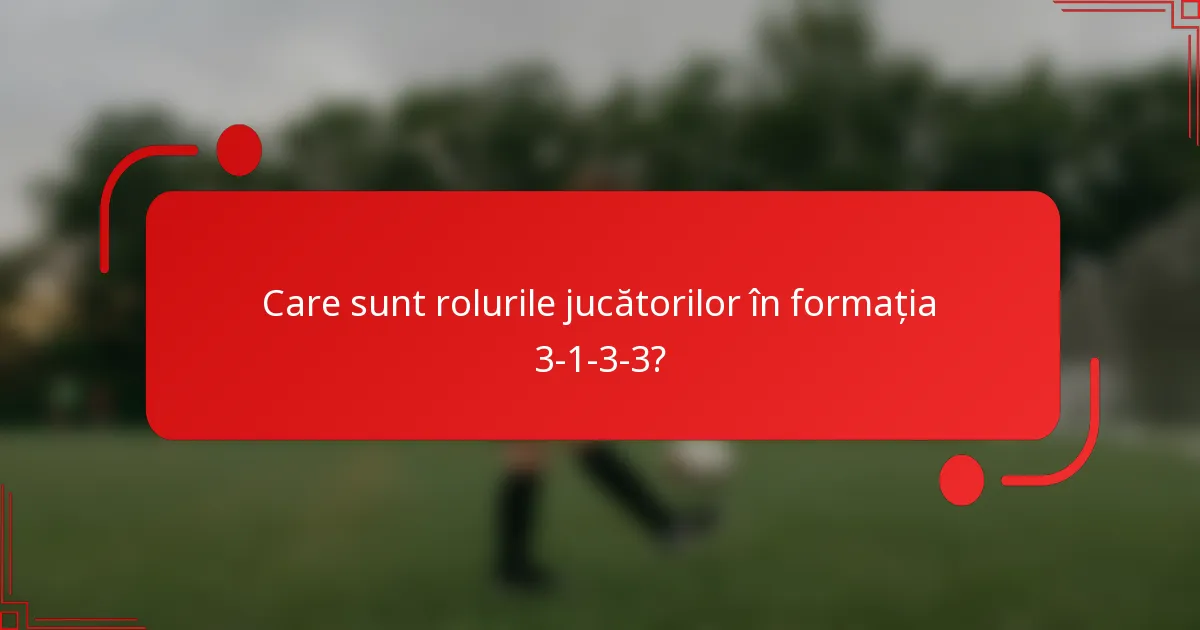 Care sunt rolurile jucătorilor în formația 3-1-3-3?