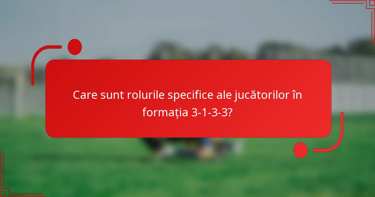 Care sunt rolurile specifice ale jucătorilor în formația 3-1-3-3?
