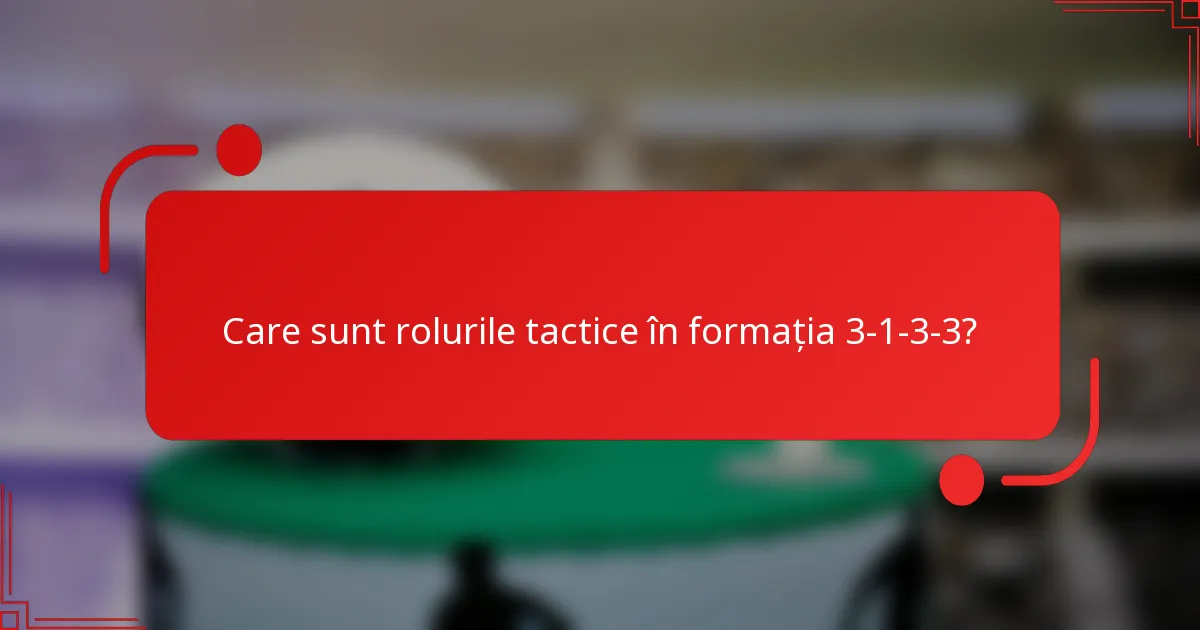 Care sunt rolurile tactice în formația 3-1-3-3?
