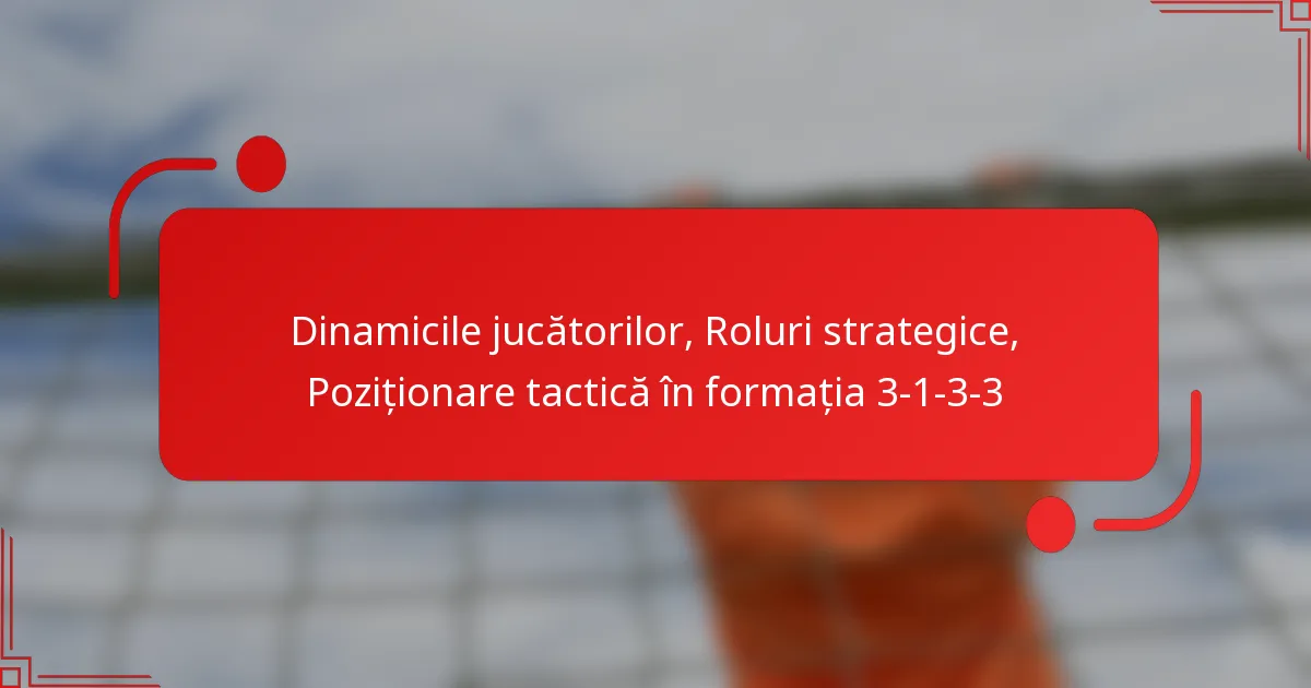 Dinamicile jucătorilor, Roluri strategice, Poziționare tactică în formația 3-1-3-3